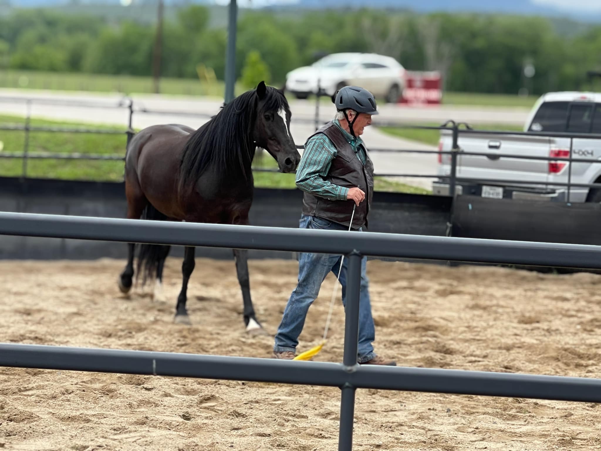 A horse and trainer during a round pen service